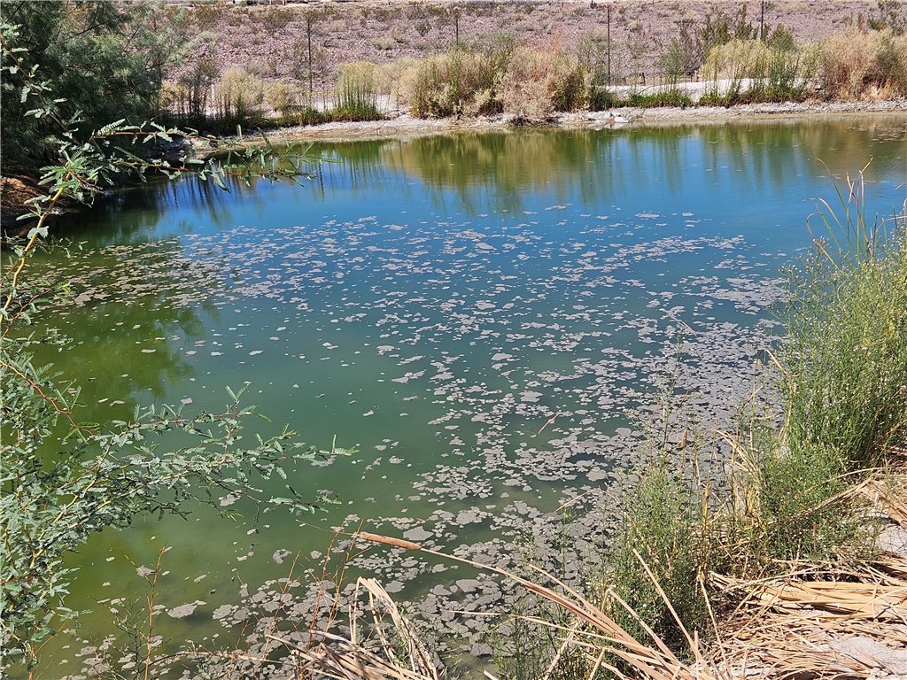 https://media.crmls.org/medias/93ee8e2a-bc5f-4214-b1f4-018325921d87.jpg?preset=X-Large