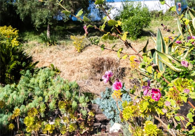 Detail Gallery Image 44 of 53 For 28068 Santona Dr, Rancho Palos Verdes,  CA 90275 - 5 Beds | 3 Baths