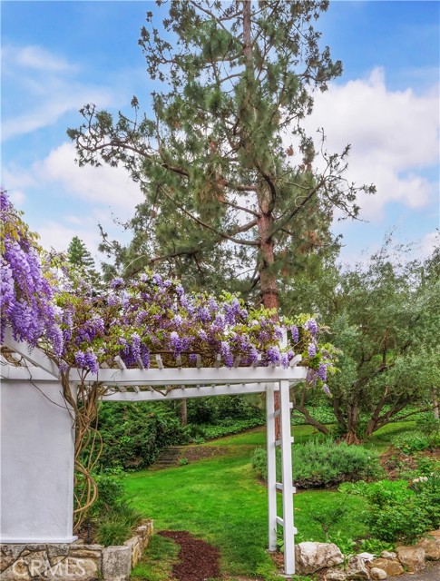 From the wisteria arbor to the trees in the distance, it's all yours!