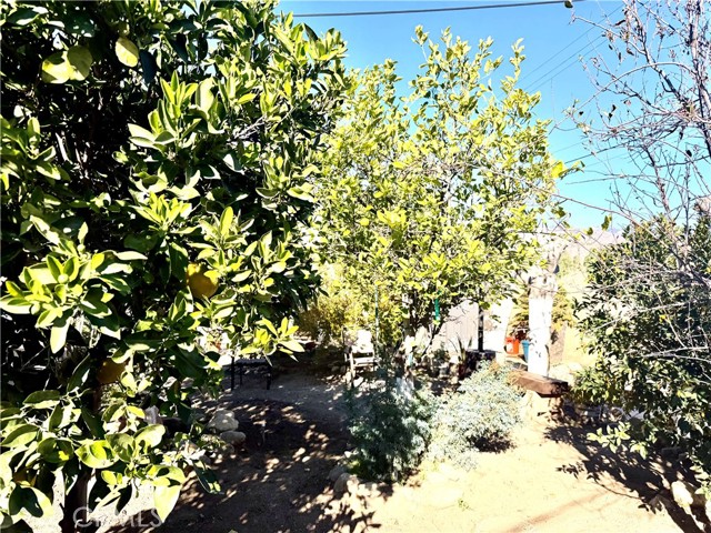 Detail Gallery Image 15 of 26 For 1282 N Phillips, Banning,  CA 92220 - 3 Beds | 1 Baths