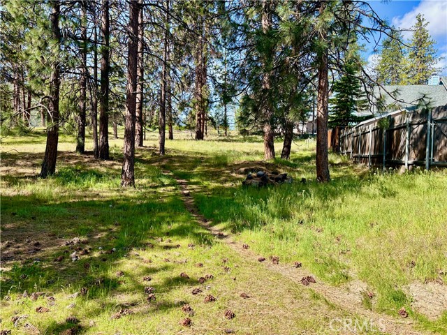 Image 15 of 54 For 0 S Lang Way