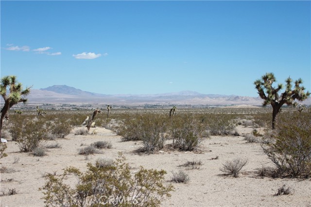 769 Meridian Road, Lucerne Valley CA: https://media.crmls.org/medias/93f5ac3a-cbf4-4f7b-8a0a-3eff7fad8478.jpg