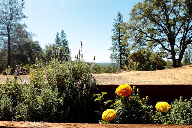 Detail Gallery Image 35 of 72 For 5333 Wilderness View Dr, Mariposa,  CA 95338 - 2 Beds | 2 Baths