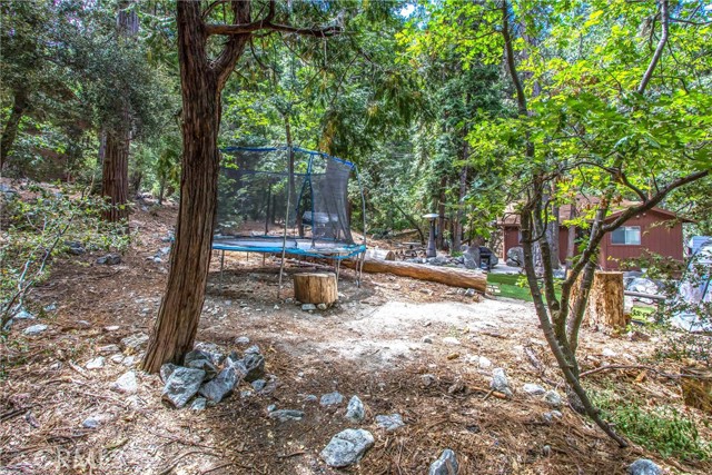 9269 Wood Road, Forest Falls CA: https://media.crmls.org/medias/93f765d6-6dcf-4e1c-b190-3b05ab1b13d3.jpg