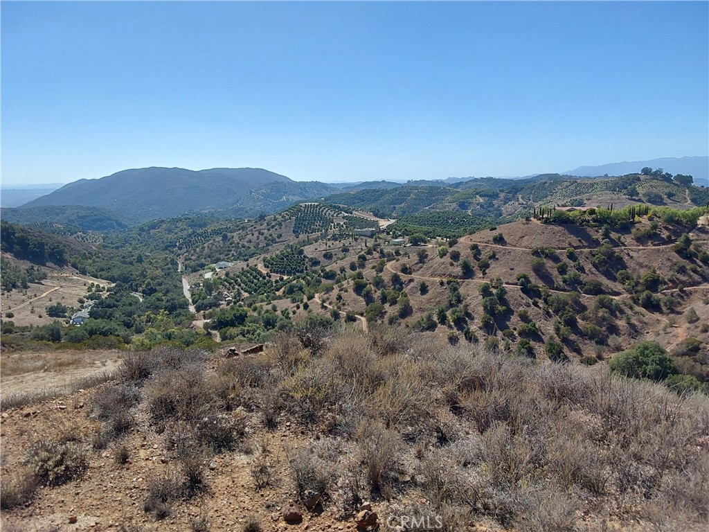 MLS #SW25229548 image #8