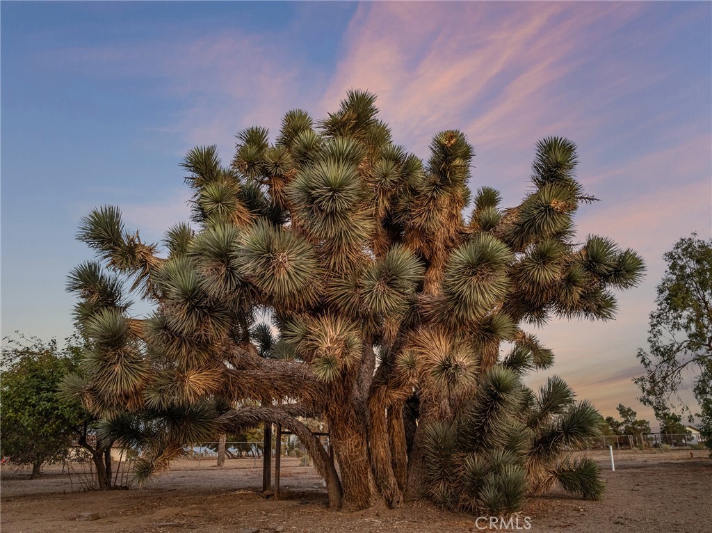 https://media.crmls.org/medias/9400e03c-6b3e-4528-8d72-3fb5691a9fdb.jpg?preset=X-Large
