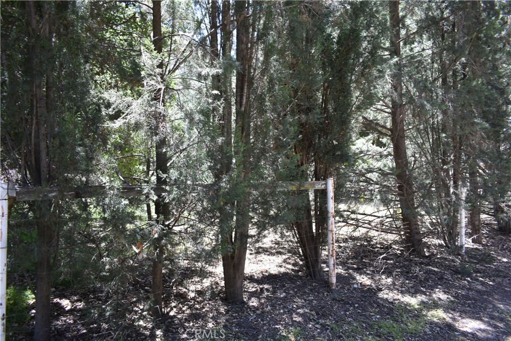 MLS #HD25051670 image #19