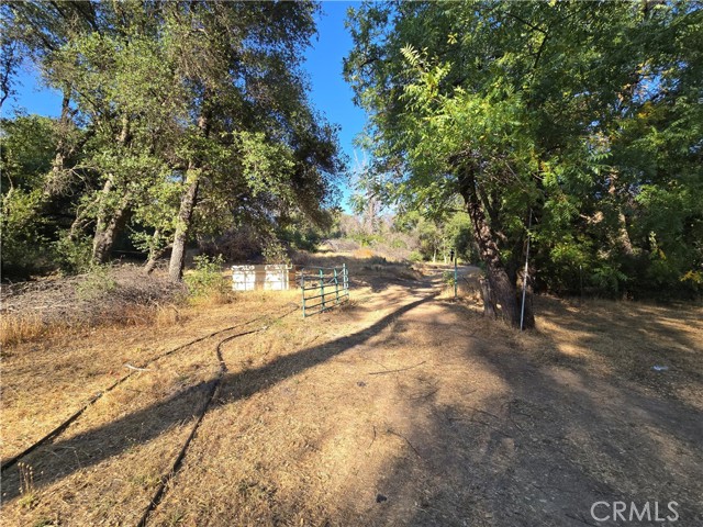 Detail Gallery Image 9 of 32 For 804 Craig Access Road, Feather Falls,  CA 95940 - 2 Beds | 1 Baths
