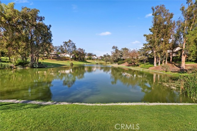 Detail Gallery Image 60 of 71 For 653 N Buttonbush Trl, Orange,  CA 92869 - 3 Beds | 2 Baths