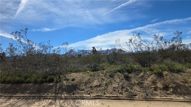 Detail Gallery Image 15 of 50 For 0 Fort Tejon Rd Vicinity 181st St E, Llano,  CA 93544 - – Beds | – Baths