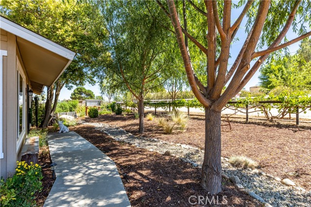 4225 Farousse Way, Paso Robles CA: https://media.crmls.org/medias/94223712-4b8f-462f-8974-91f7ff35a240.jpg