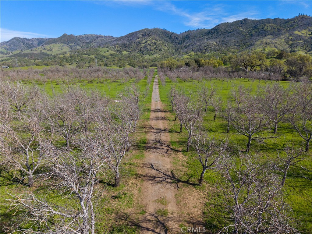 https://media.crmls.org/medias/94250203-6d28-45b4-b2b1-083ce504459b.jpg?preset=X-Large
