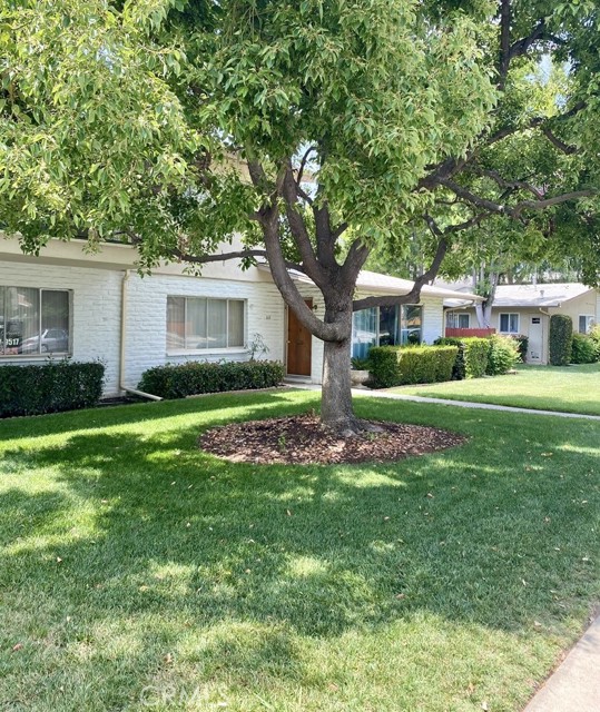 Front Image Thumbnail for CRRS25254749