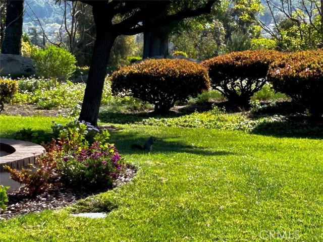 Detail Gallery Image 32 of 32 For 13515 Avenida Santa Tecla 210a,  La Mirada,  CA 90638 - 2 Beds | 2 Baths