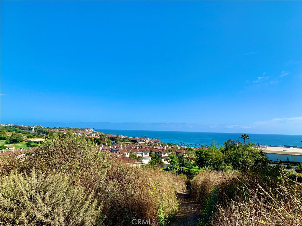 https://media.crmls.org/medias/942dda24-2381-4be5-9457-5f6415b205cd.jpg?preset=X-Large