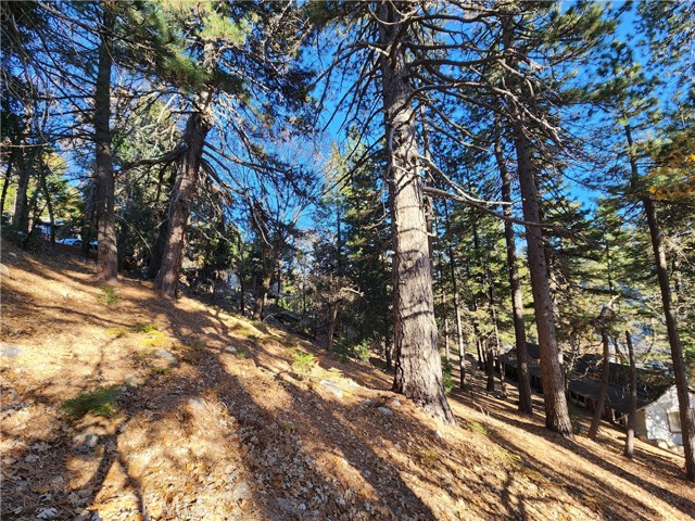 0 Lovers Lane, Rimforest CA: https://media.crmls.org/medias/942f6ba3-cb4c-4fa1-b8c7-9c5e1eed7147.jpg