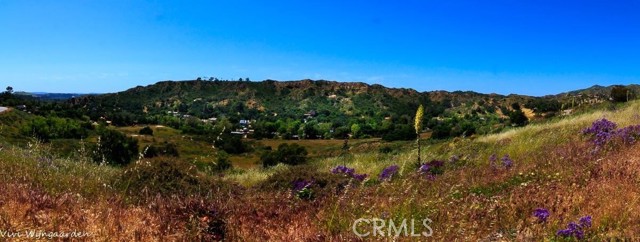 19041 Live Oak Canyon Road, Trabuco Canyon CA: https://media.crmls.org/medias/9433cc3d-0d9d-433b-8e6d-c6e8ac877e6d.jpg