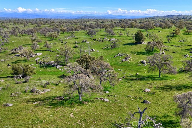 Detail Gallery Image 12 of 19 For 0 39.89 Ac Road 613, Raymond,  CA 93653 - – Beds | – Baths