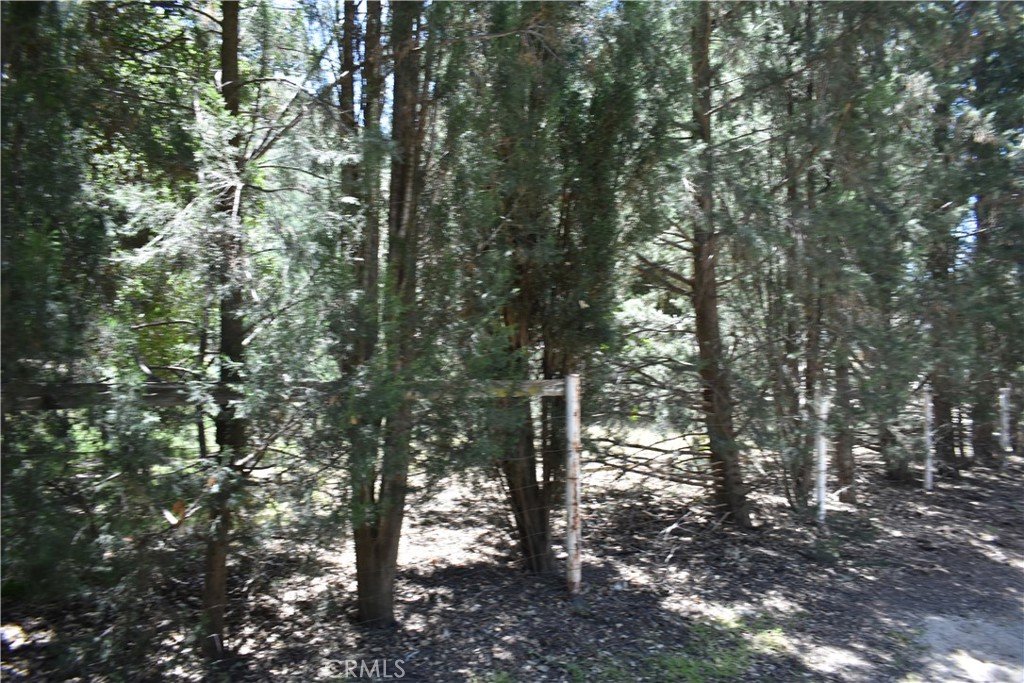 MLS #HD25051670 image #16