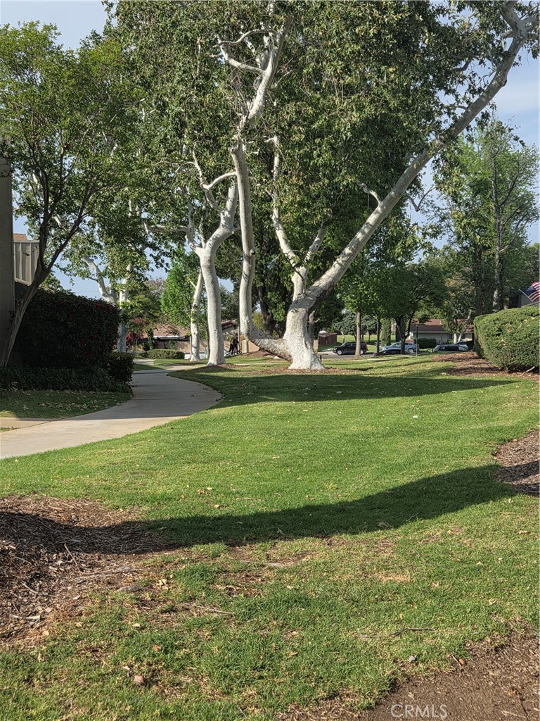 https://media.crmls.org/medias/943e8c92-267b-45e6-9a41-792877aba0db.jpg?preset=X-Large