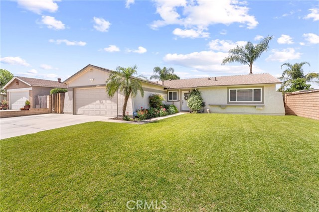 Front Image Thumbnail for CRIG26085425