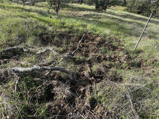 Detail Gallery Image 10 of 23 For 25156 E State Hwy 20, Clearlake Oaks,  CA 95423 - – Beds | – Baths