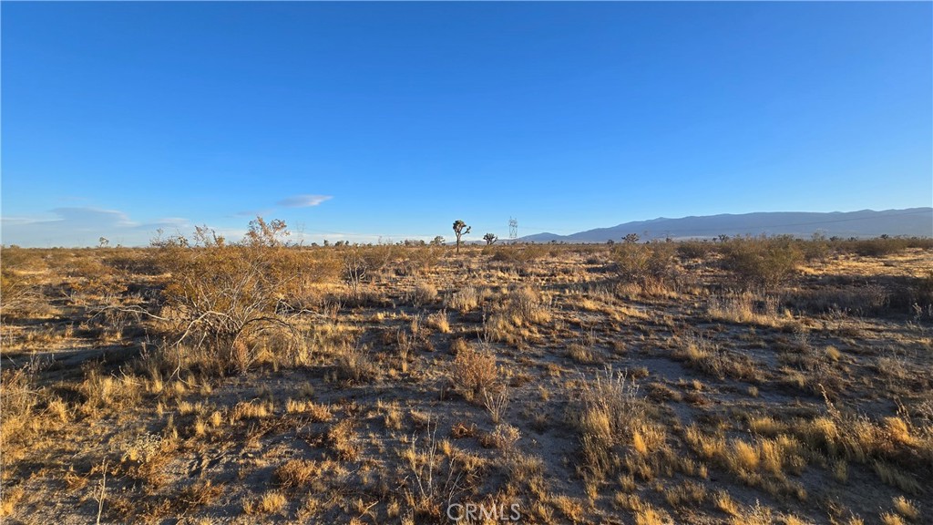 MLS #SR25151837 image #2