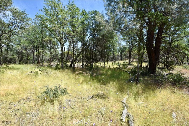 0 Mackey Court, Oroville CA: https://media.crmls.org/medias/9449ff20-ec82-4114-8ed4-20be75c2437f.jpg
