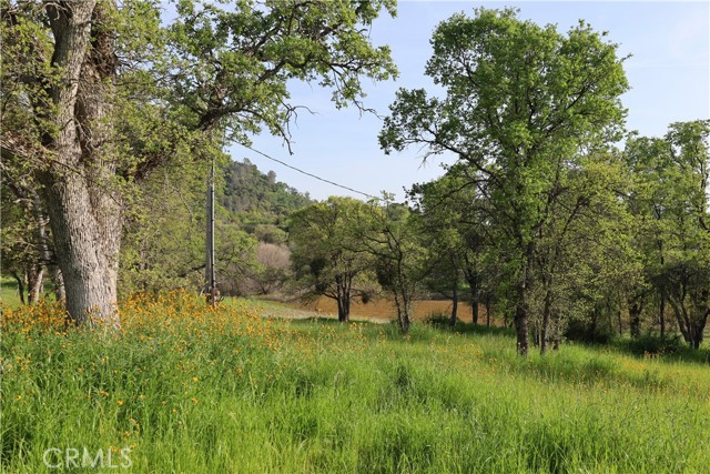 Detail Gallery Image 2 of 32 For 0 Douglas Rd, Coarsegold,  CA 93614 - – Beds | – Baths