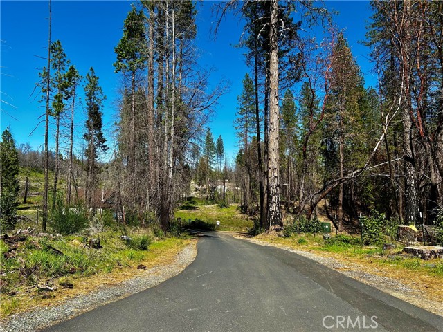 12 Azalea Lane, Berry Creek, California 95916, ,Land,For Sale,12 Azalea Lane,CRSN23072179