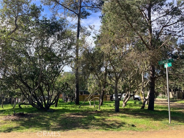 Detail Gallery Image 5 of 7 For 0 Cowper Street, Cambria,  CA 93428 - – Beds | – Baths