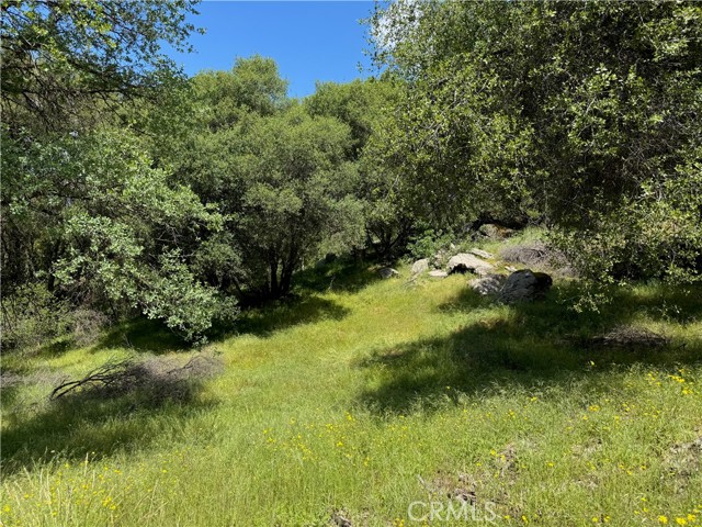 4516 Hirsch Road, Mariposa CA: https://media.crmls.org/medias/9461f415-3f64-4ae5-afb4-5952156b0dff.jpg