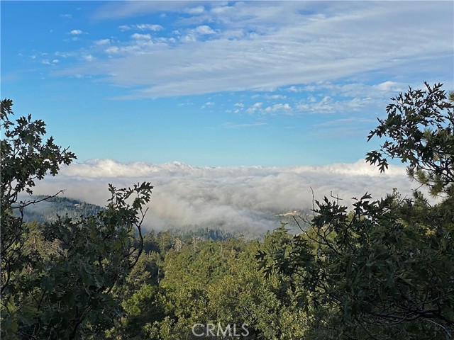 Detail Gallery Image 2 of 49 For 33000 Juniper Ln, Green Valley Lake,  CA 92341 - 4 Beds | 2/1 Baths