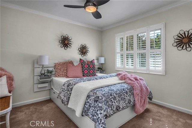 24541 Gardenstone Ln photo 22