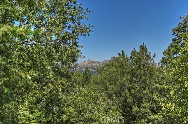 Detail Gallery Image 46 of 70 For 28938 Mammoth Dr, Lake Arrowhead,  CA 92352 - 3 Beds | 2/1 Baths