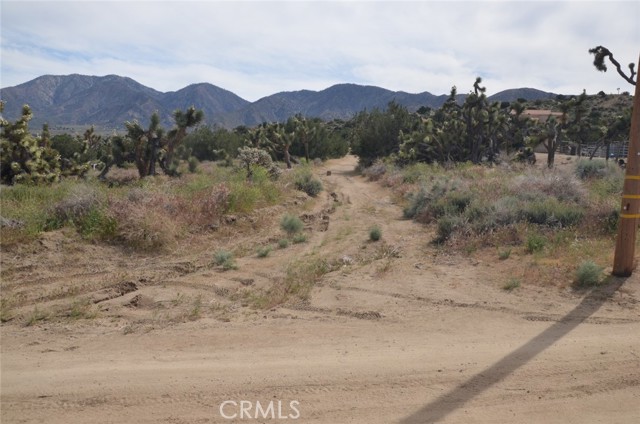 Front Image Thumbnail for CRSR26050622