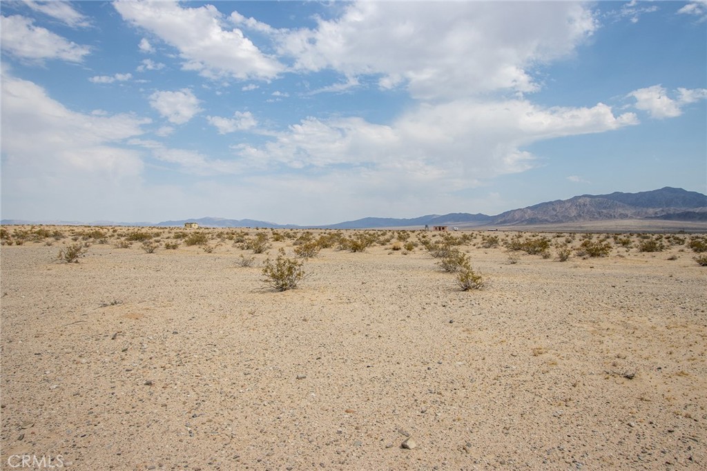 MLS #JT24152468 image #15