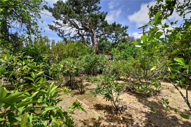 Detail Gallery Image 21 of 23 For 5625 Matilija Ave, Valley Glen,  CA 91401 - 2 Beds | 2 Baths