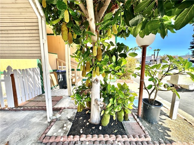Detail Gallery Image 28 of 41 For 507 S Euclid St #71,  Santa Ana,  CA 92074 - 4 Beds | 2 Baths