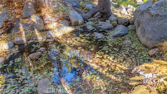 Detail Gallery Image 45 of 48 For 25201 Fern Valley Rd, Idyllwild,  CA 92549 - 1 Beds | 1 Baths