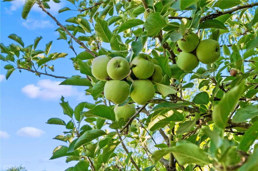 https://media.crmls.org/medias/9495b7cb-a615-4359-aa8c-c3da4ae28006.jpg?preset=X-Large