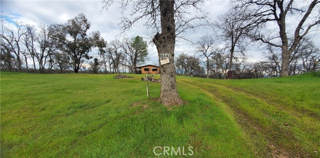 Front Image Thumbnail for CRSN26070174