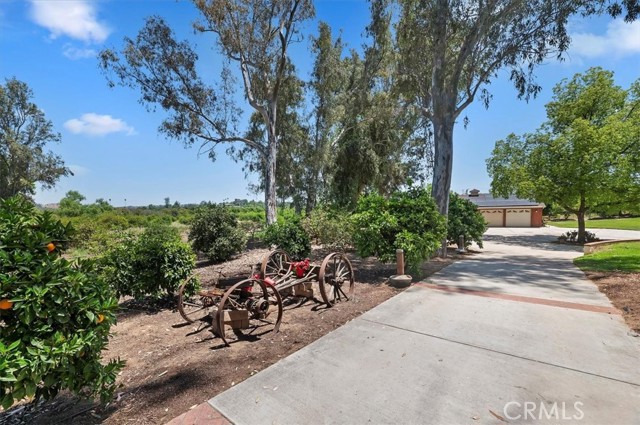 Detail Gallery Image 4 of 74 For 8180 Victoria Ave, Riverside,  CA 92504 - 4 Beds | 1/2 Baths