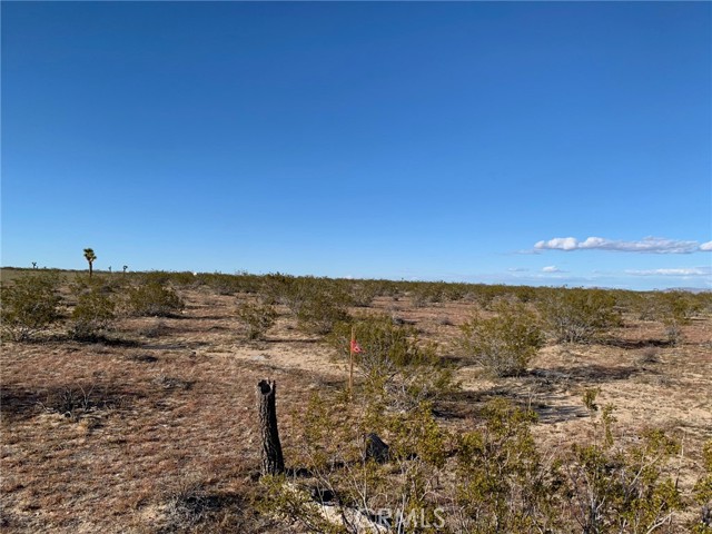 Detail Gallery Image 12 of 13 For 42 Foxy Flats Rd, Joshua Tree,  CA 92252 - – Beds | – Baths