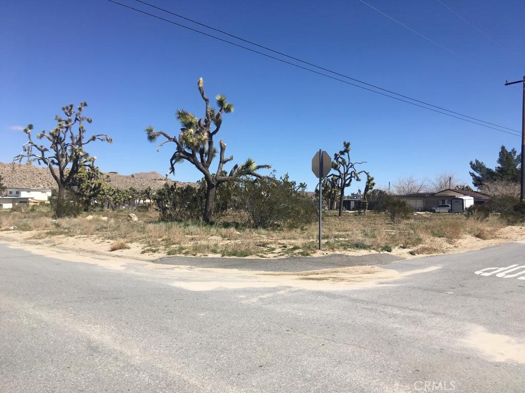 MLS #NP24045527 image #5