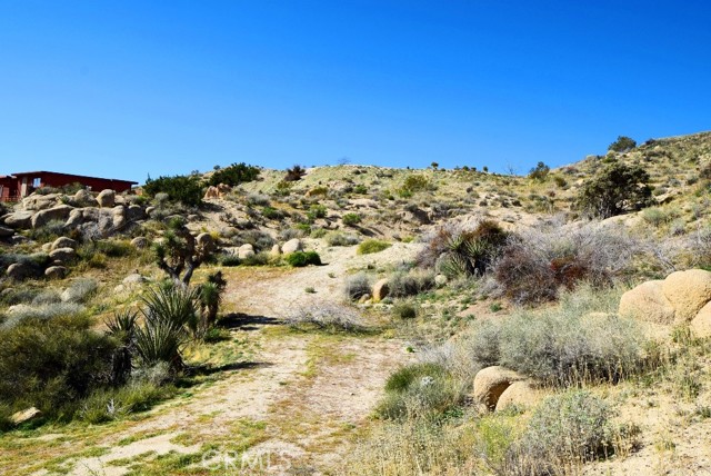 Detail Gallery Image 5 of 9 For 5996 Buena Suerte Rd, Yucca Valley,  CA 92284 - – Beds | – Baths