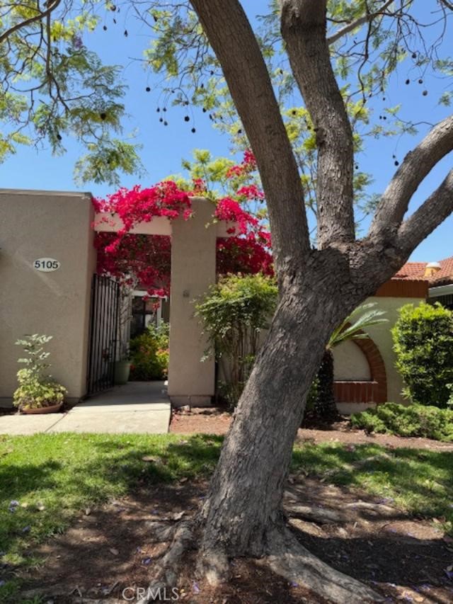 Detail Gallery Image 11 of 11 For 5105 Despacio, Laguna Woods,  CA 92637 - 2 Beds | 2 Baths