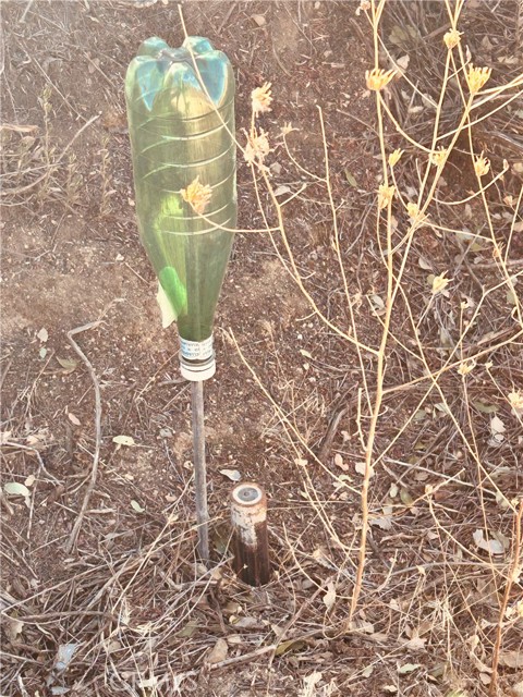 Detail Gallery Image 2 of 10 For 37551 Pisgah Peak Rd, Yucaipa,  CA 92399 - – Beds | – Baths