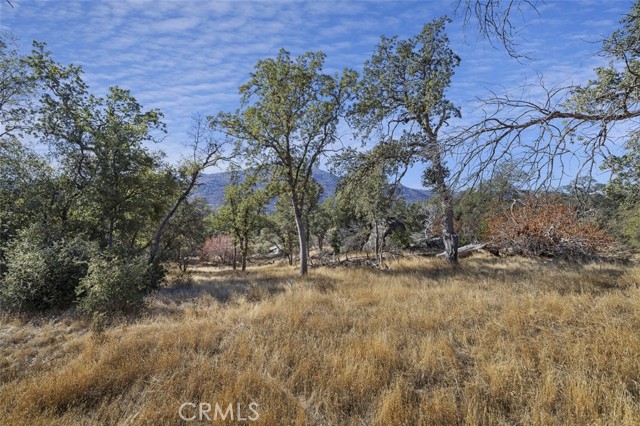 Detail Gallery Image 7 of 16 For 0 39.29 Ac Village Dr, Oakhurst,  CA 93644 - – Beds | – Baths