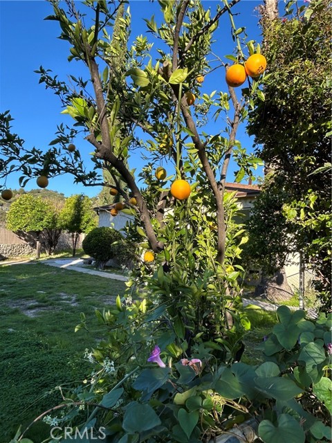 Detail Gallery Image 17 of 19 For 9241 Pali, Tujunga,  CA 91042 - 3 Beds | 2 Baths